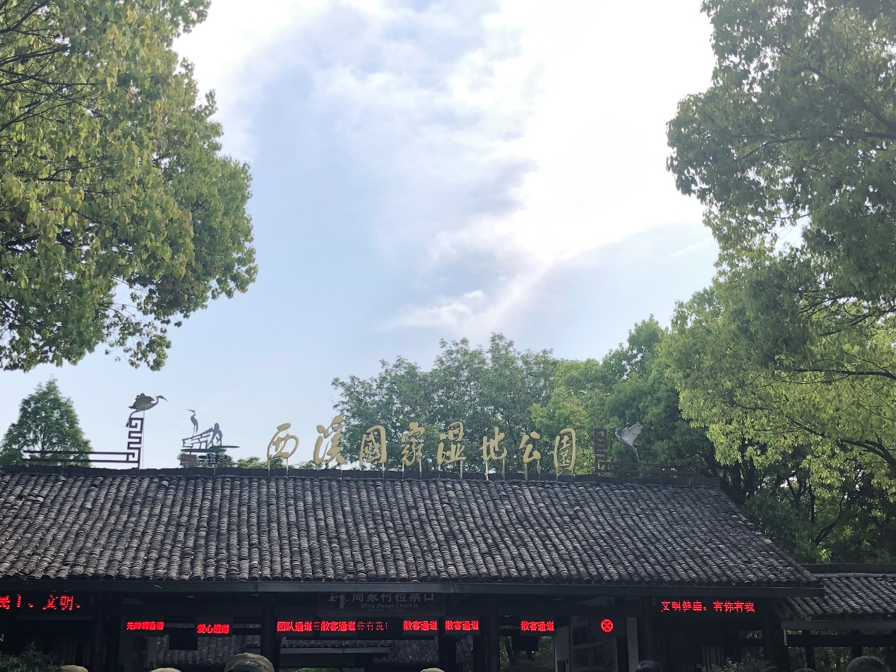 C:\Users\chjin\Desktop\宋城、西溪照片\西溪6.jpg